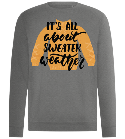 About Sweater Weather Design - Comfort unisex sweater_ORION GREY II_front