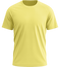 Performance men's sport t-shirt_LEMON_front
