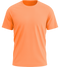 Performance men's sport t-shirt_ORANGE_front