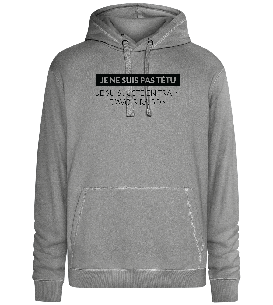 I'm Always Right Design - Premium unisex hoodie_ORION GREY II_front