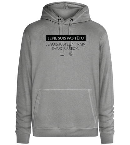 I'm Always Right Design - Premium unisex hoodie_ORION GREY II_front