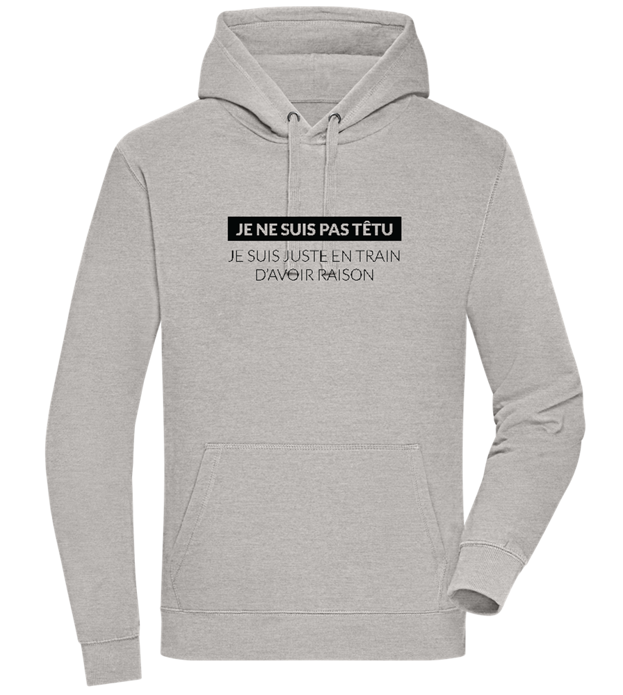 I'm Always Right Design - Premium unisex hoodie_ORION GREY II_front