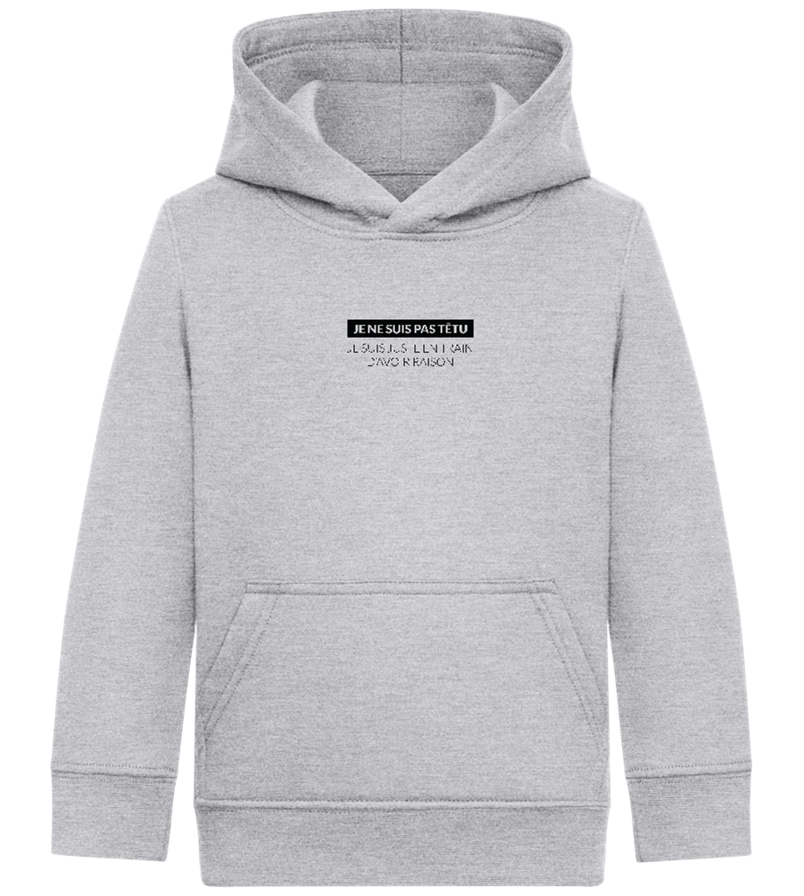 I'm Always Right Design - Comfort Kids Hoodie_ORION GREY II_front