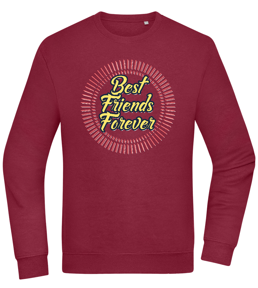 Best Friends Forever Design - Comfort Essential Unisex Sweater_BORDEAUX_front