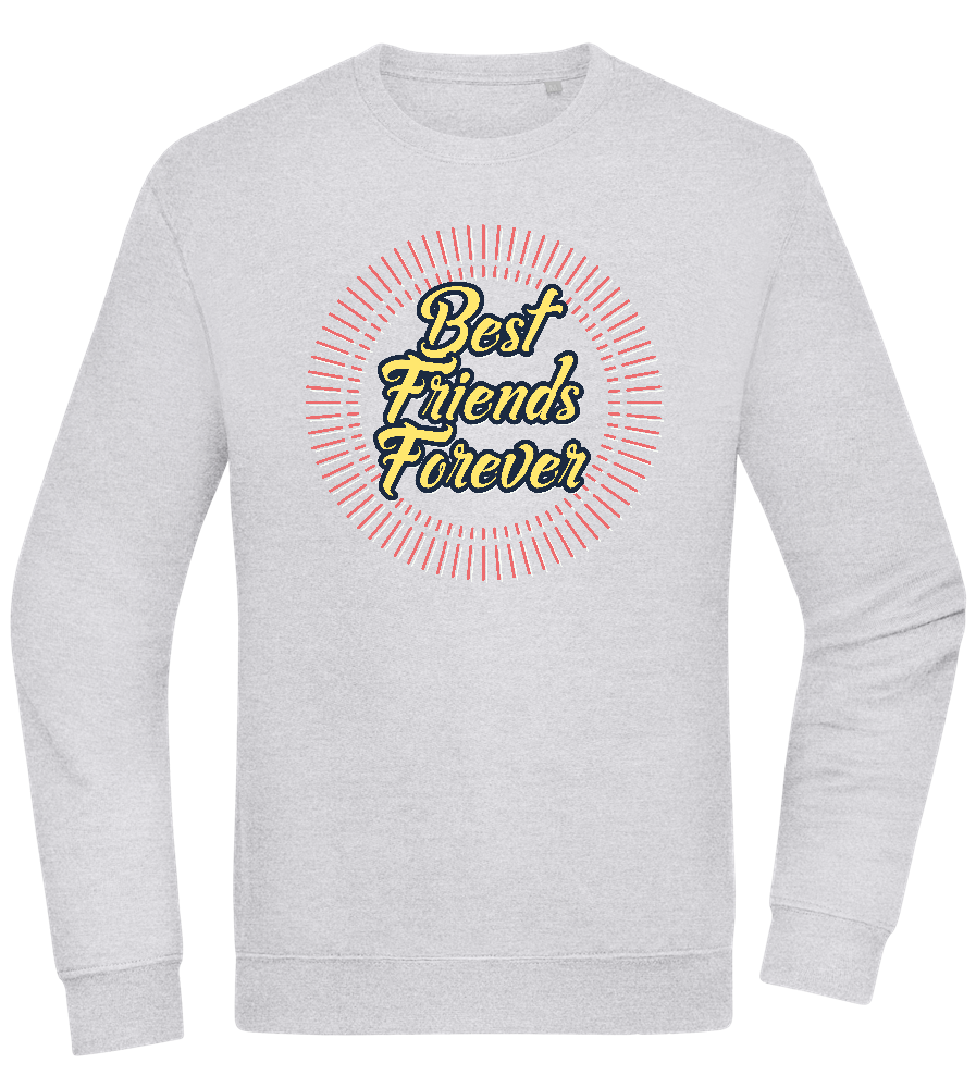 Best Friends Forever Design - Comfort Essential Unisex Sweater_ORION GREY II_front