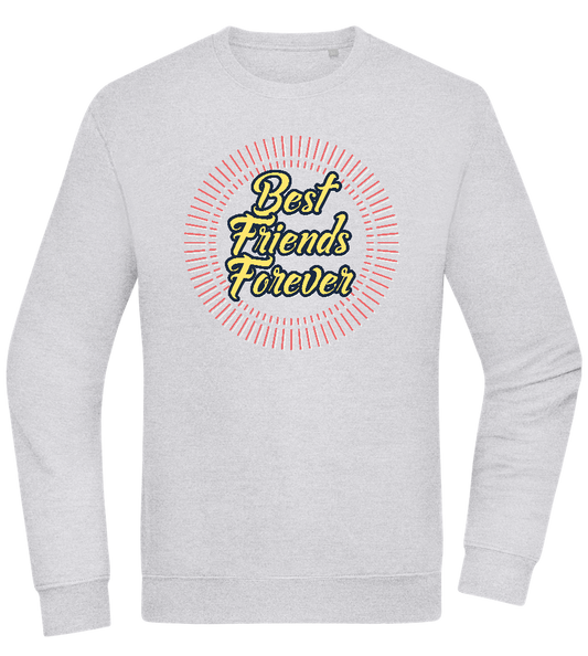 Best Friends Forever Design - Comfort Essential Unisex Sweater_ORION GREY II_front