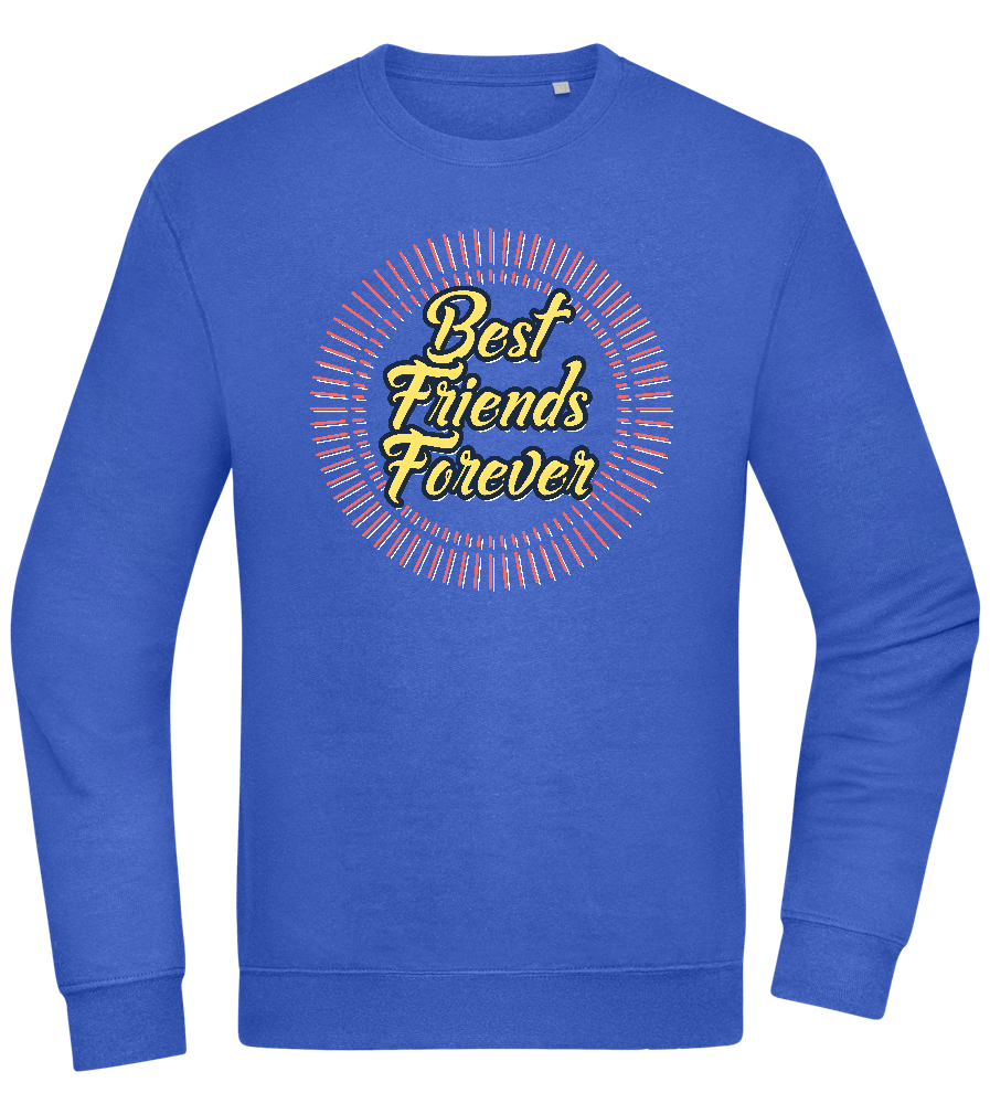 Best Friends Forever Design - Comfort Essential Unisex Sweater_ROYAL_front