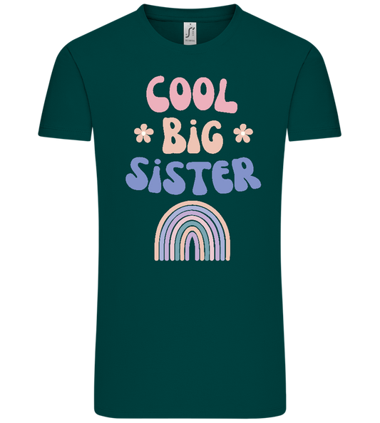 Cool Big Sister Design - Comfort Unisex T-Shirt_GREEN EMPIRE_front