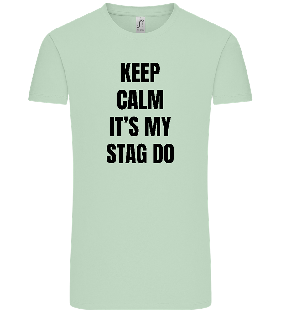 Keep Calm It's My Stag Do Design - Comfort Unisex T-Shirt_ICE GREEN_front