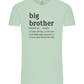 Big Brother Meaning Design - Comfort Unisex T-Shirt_ICE GREEN_front