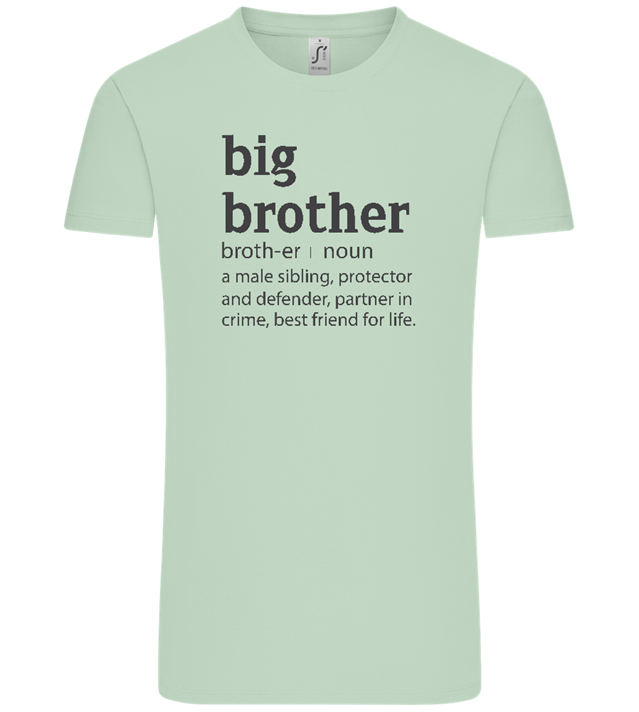 Big Brother Meaning Design - Comfort Unisex T-Shirt_ICE GREEN_front
