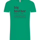 Big Brother Meaning Design - Comfort Unisex T-Shirt_SPRING GREEN_front