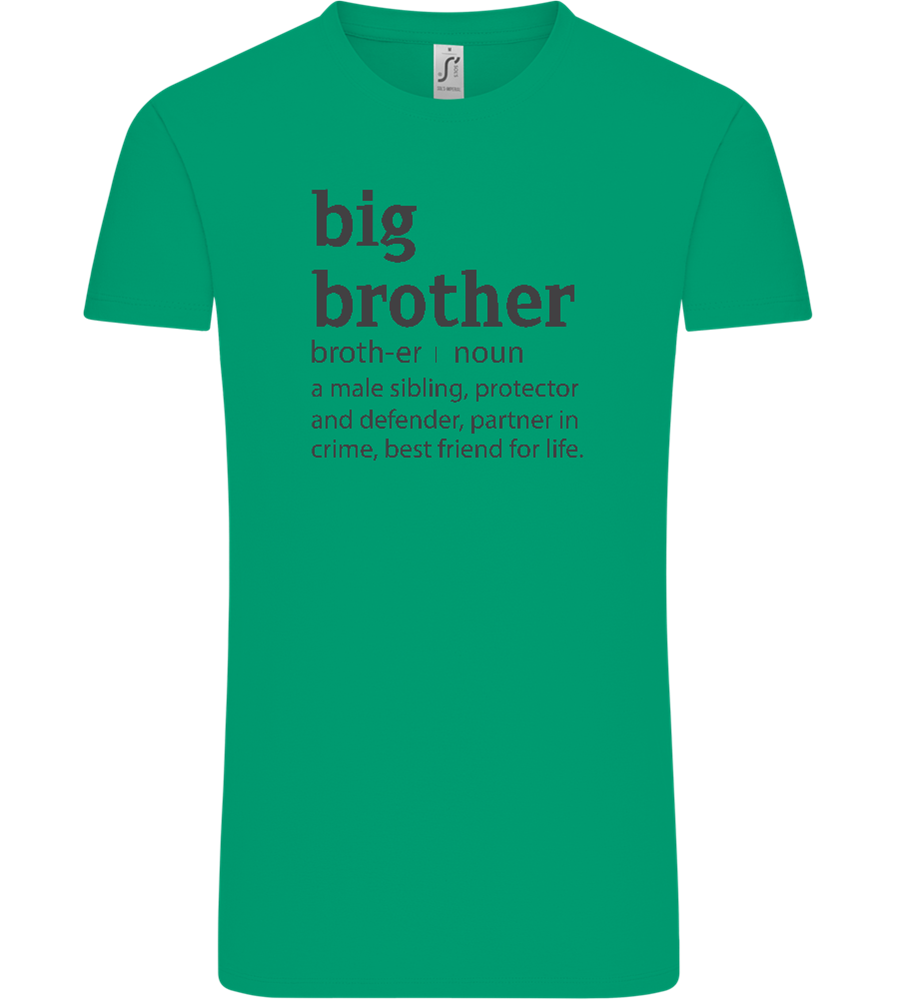 Big Brother Meaning Design - Comfort Unisex T-Shirt_SPRING GREEN_front