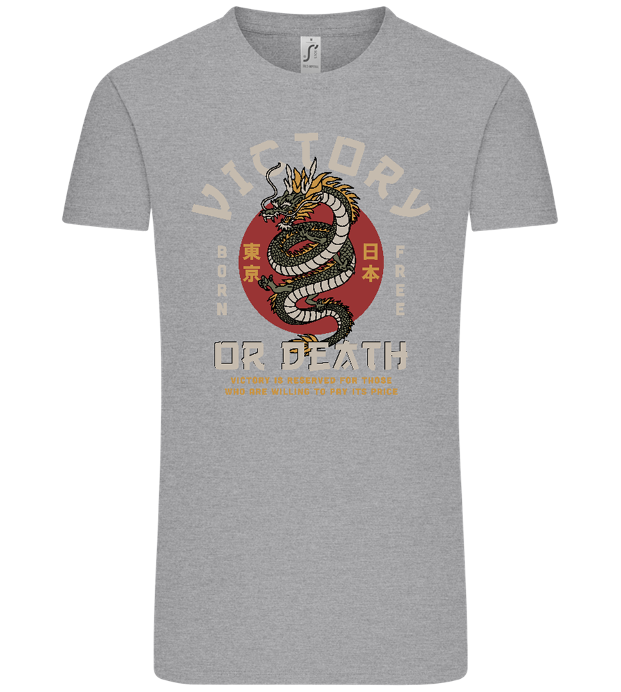 Victory Dragon Design - Comfort Unisex T-Shirt_ORION GREY_front