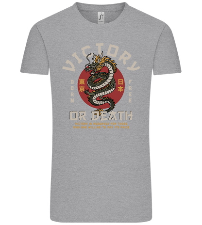 Victory Dragon Design - Comfort Unisex T-Shirt_ORION GREY_front