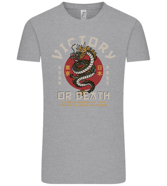 Victory Dragon Design - Comfort Unisex T-Shirt_ORION GREY_front