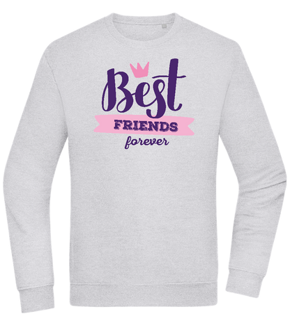 BFF Crown Design - Comfort Essential Unisex Sweater_ORION GREY II_front