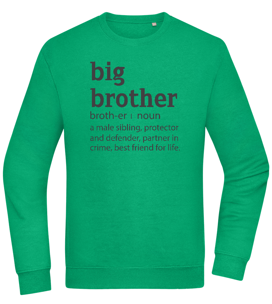 Big Brother Meaning Design - Comfort Essential Unisex Sweater_MEADOW GREEN_front