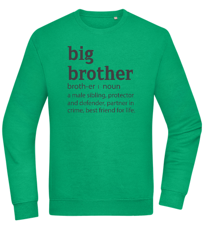 Big Brother Meaning Design - Comfort Essential Unisex Sweater_MEADOW GREEN_front