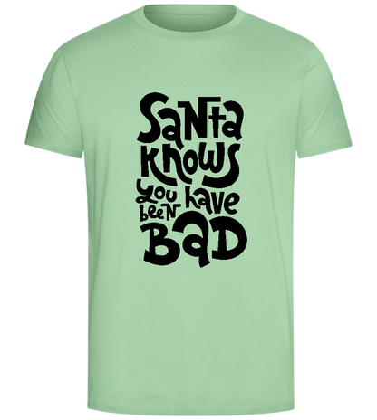 Santa Knows Design - Comfort Unisex T-Shirt_ICE GREEN_front