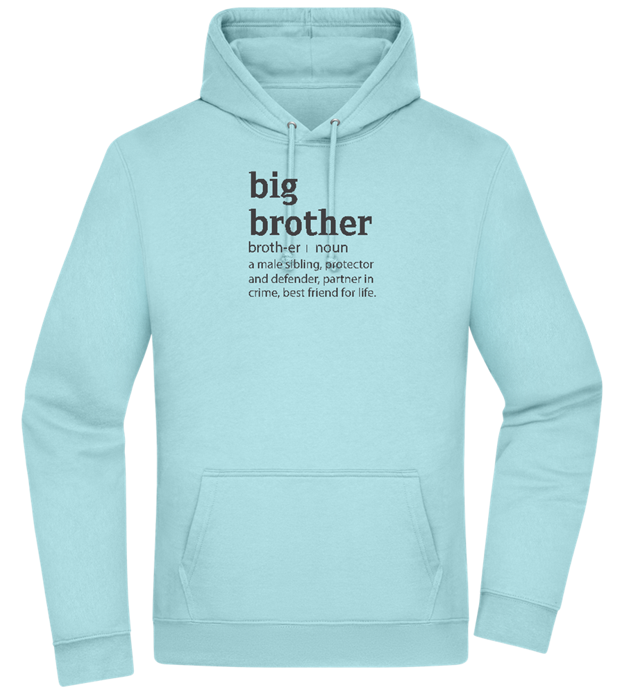 Big Brother Meaning Design - Premium Essential Unisex Hoodie_POOL BLUE_front